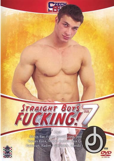 Straight Boys Fucking! 7 poster