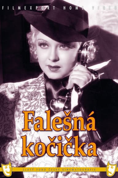 Falešná kočička poster