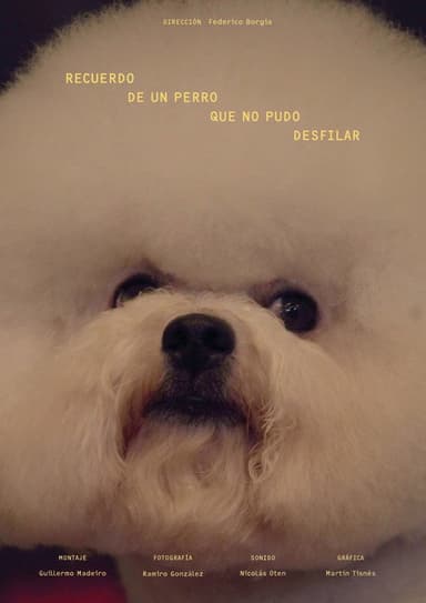 Memories from a Dog That Could Not Parade poster