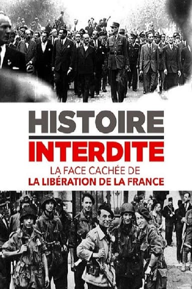 La Face cachée de la Libération poster