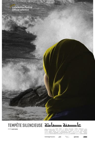 Silent Storm poster