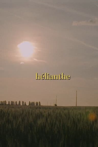 Hélianthe poster