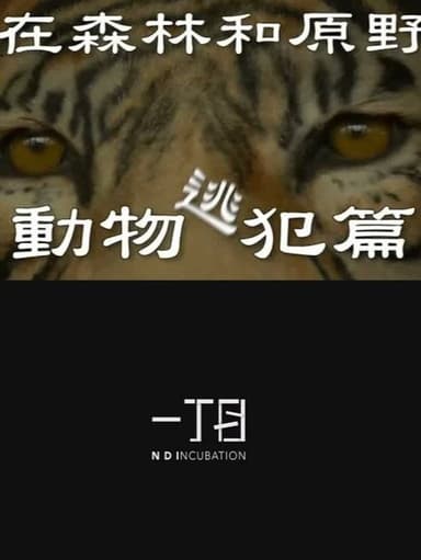 在森林和原野-動物逃犯篇 poster