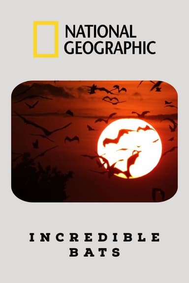 Incredible Bats poster