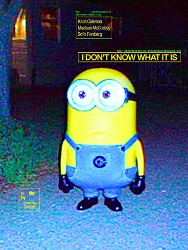 I Don't Know What It Is poster