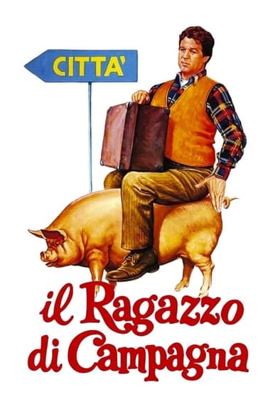 The Country Boy poster