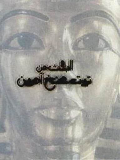 Looking for Tutankhamun poster