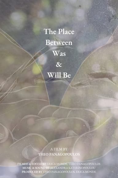 The Place Between Was & Will Be poster