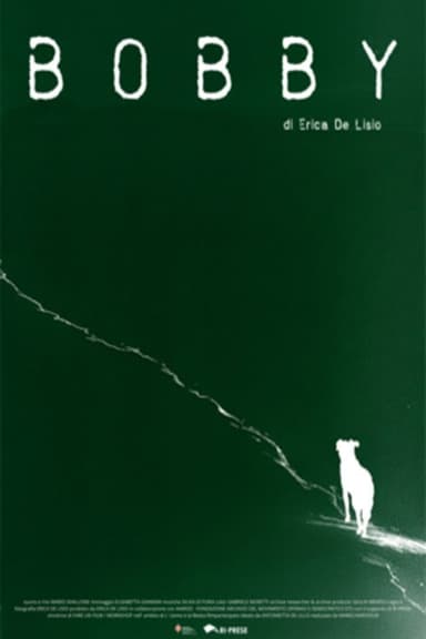 Bobby poster