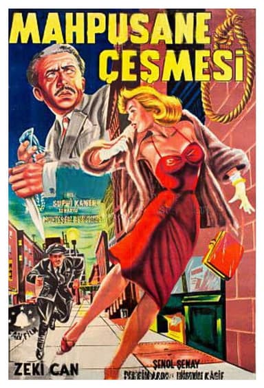Mahpushane Çeşmesi poster