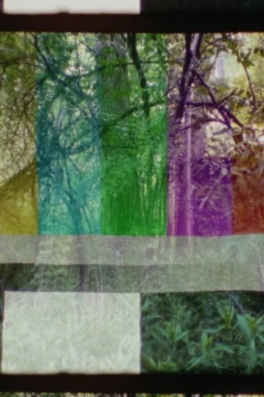 SMPTE FOREST poster