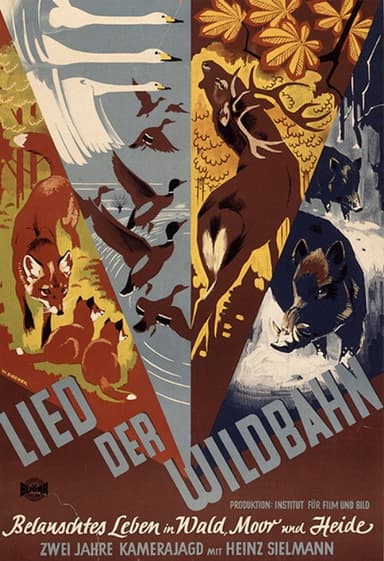Lied der Wildbahn poster