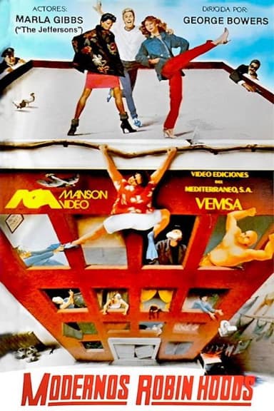 The Young Landlords poster