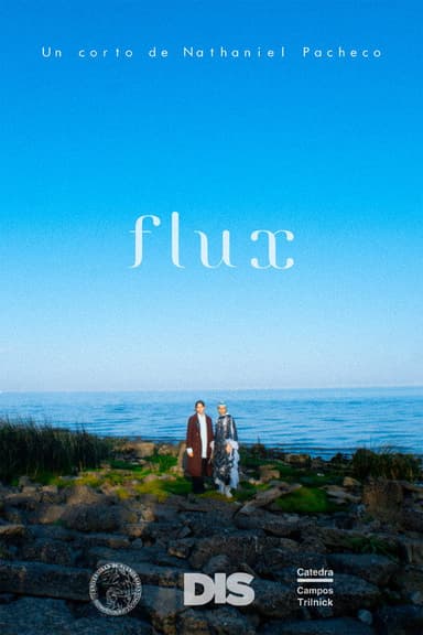 Flux poster
