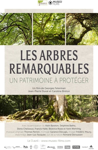 Les arbres remarquables, un patrimoine à protéger poster