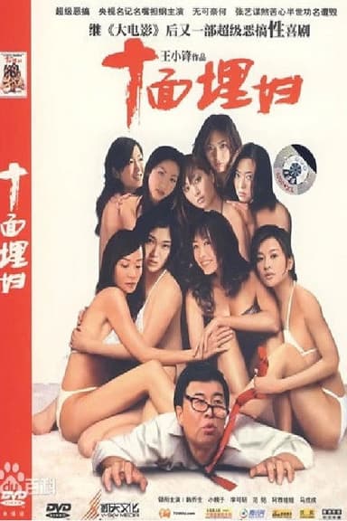 十面埋妇 poster