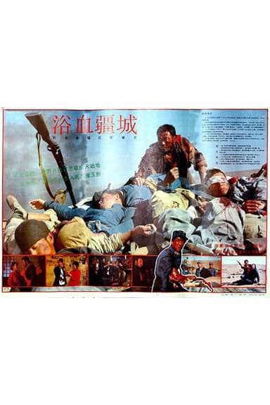 浴血疆城 poster