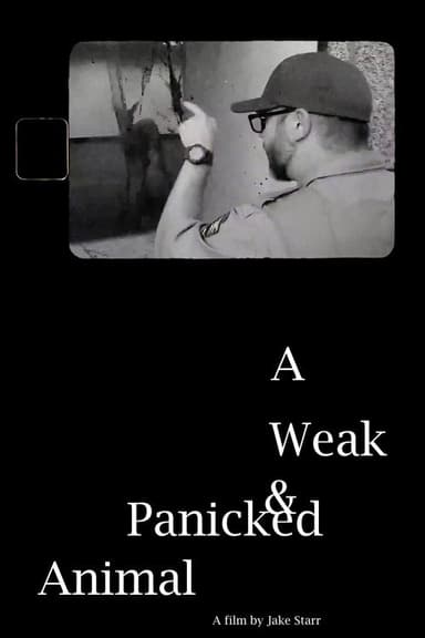 A Weak & Panicked Animal poster