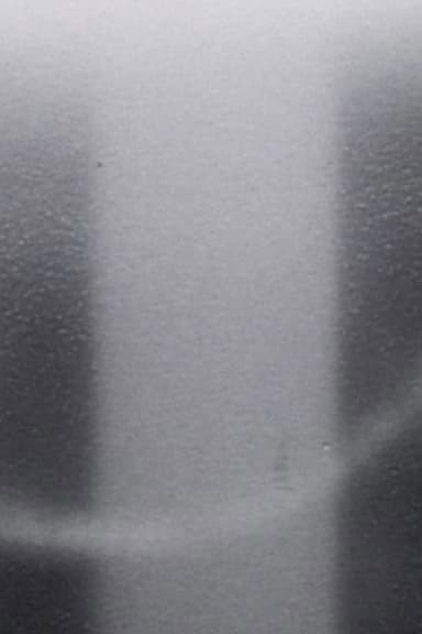Light Licks: I Saw the Light Praise the Dark poster