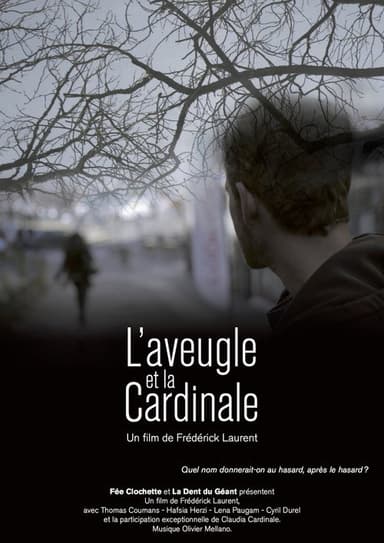 The Blind and the Cardinal poster