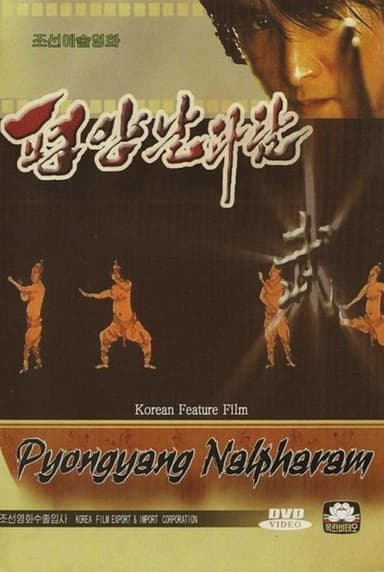 Pyongyang Nalpharam poster