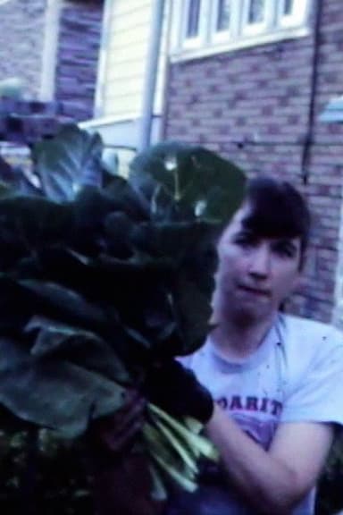 Collards Garden, 1985 poster