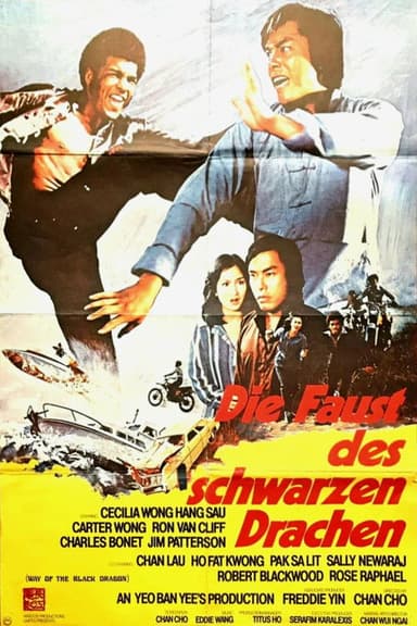 Way of the Black Dragon poster