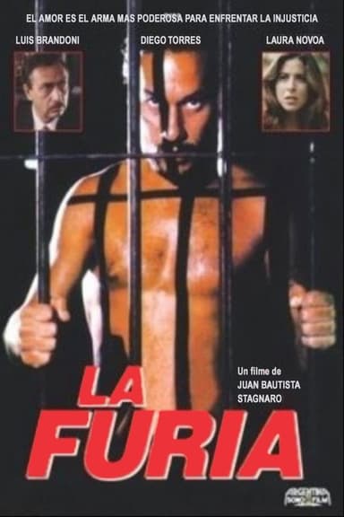 The Fury poster
