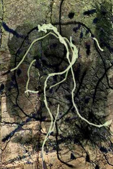Thunder river (Places and Monuments 4) poster