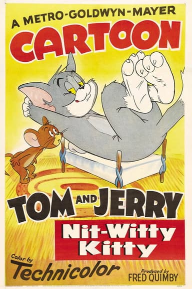 Nit-Witty Kitty poster