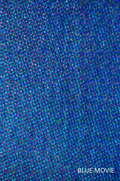 Blue Movie poster