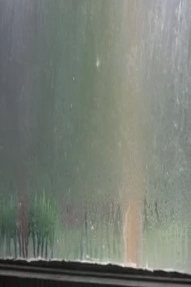 Fogged Windows poster