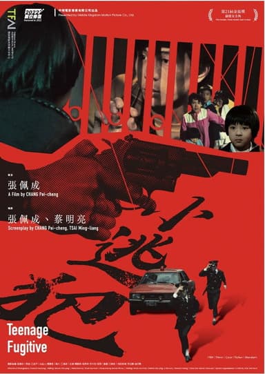 Teenage Fugitive poster