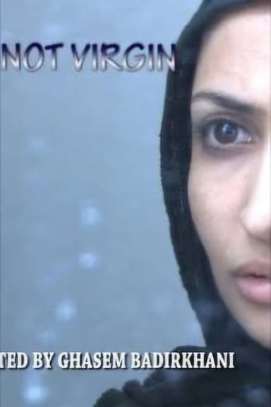 I Am Not a Virgin poster