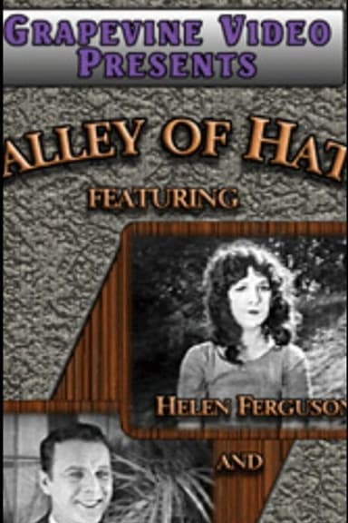 Valley of Hate poster