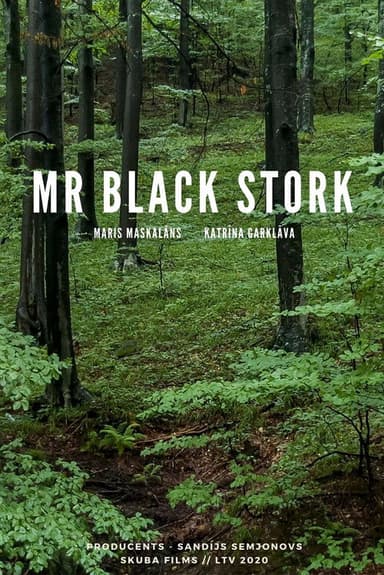 Mr Black Stork poster