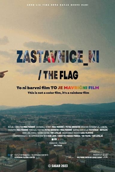 The Flag poster
