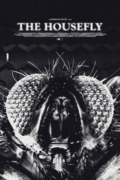 The Housefly poster