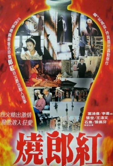 Story of Langhong poster