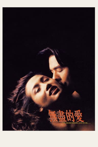 The Never Ending Love Story poster