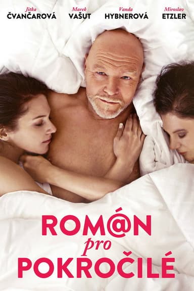 Román pro pokročilé poster