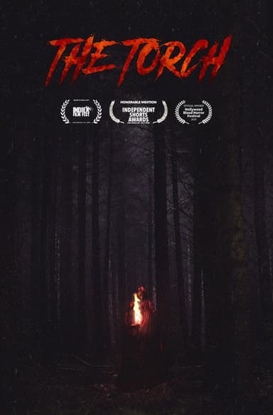 The Torch poster