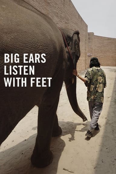 Big Ears Listen with Feet poster