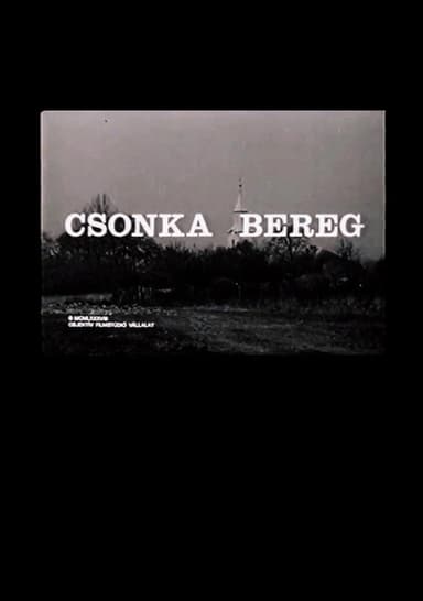Mutilated Bereg poster