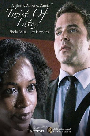 Twist of Fate poster