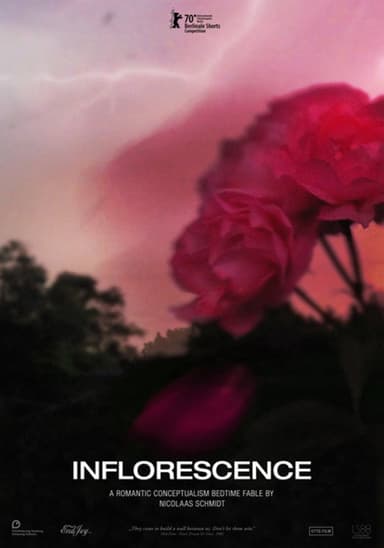 Inflorescence poster
