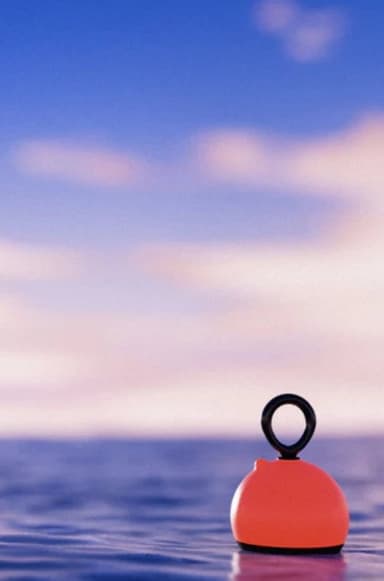 The Lost Buoy poster