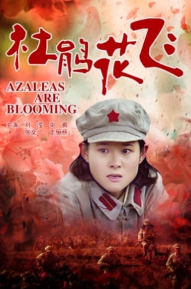 杜鹃花飞 poster