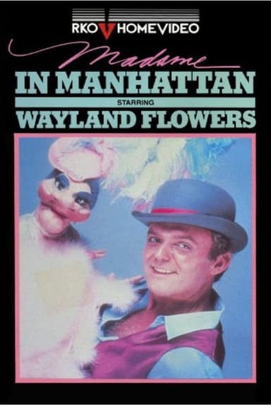 Madame in Manhattan poster