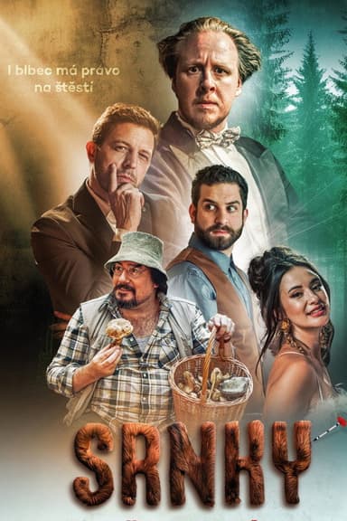 Srnky poster